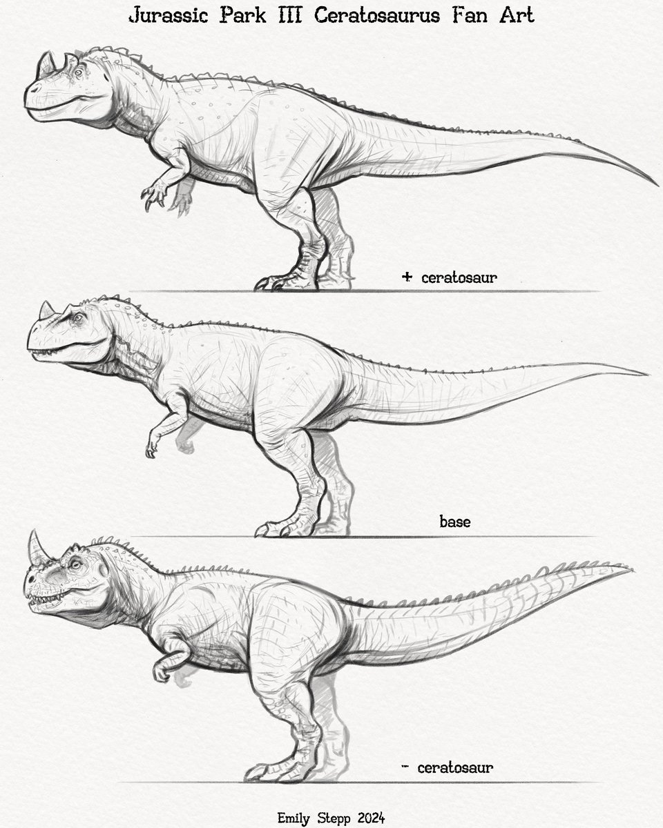 Emily Stepp tweet media