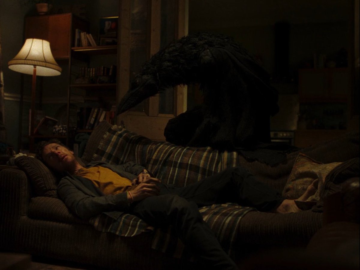 Lucy | social media spring break, occasionally. tweet media