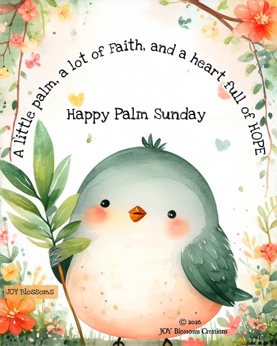 Lynne Taylor tweet media