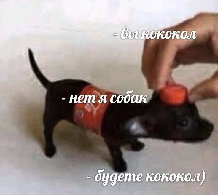 гражданка уебанка ☮️ tweet media