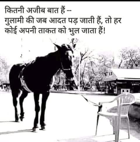 PoulAyodhya's tweet photo. आजच्या काळातील वास्तव....

#मार्मिक https://t.co/6hh4WtIbeZ