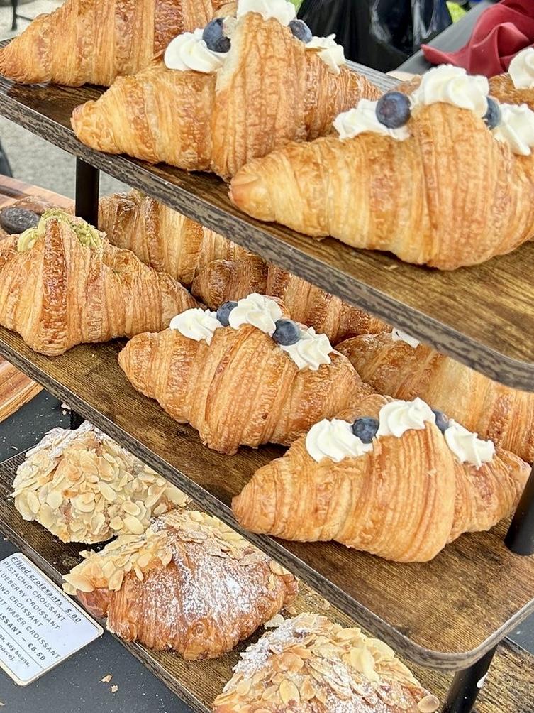 Catherine Fulvio tweet media