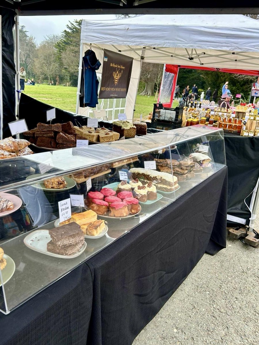 Catherine Fulvio tweet media