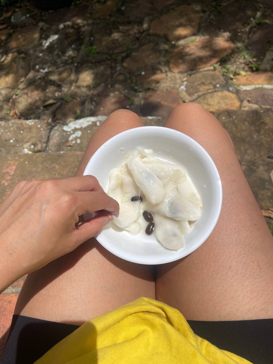 Picolina tweet media