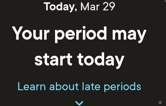 Tabira🪻 tweet media