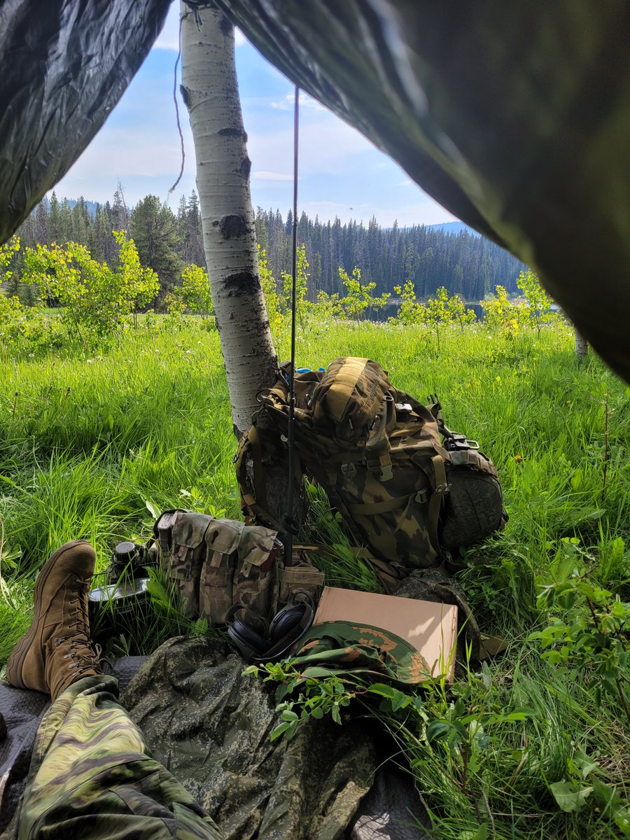 Misty Mountain Supply tweet media