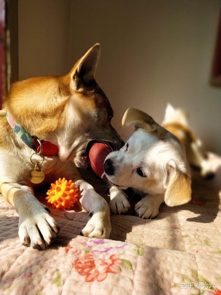 Chris Greklek tweet media