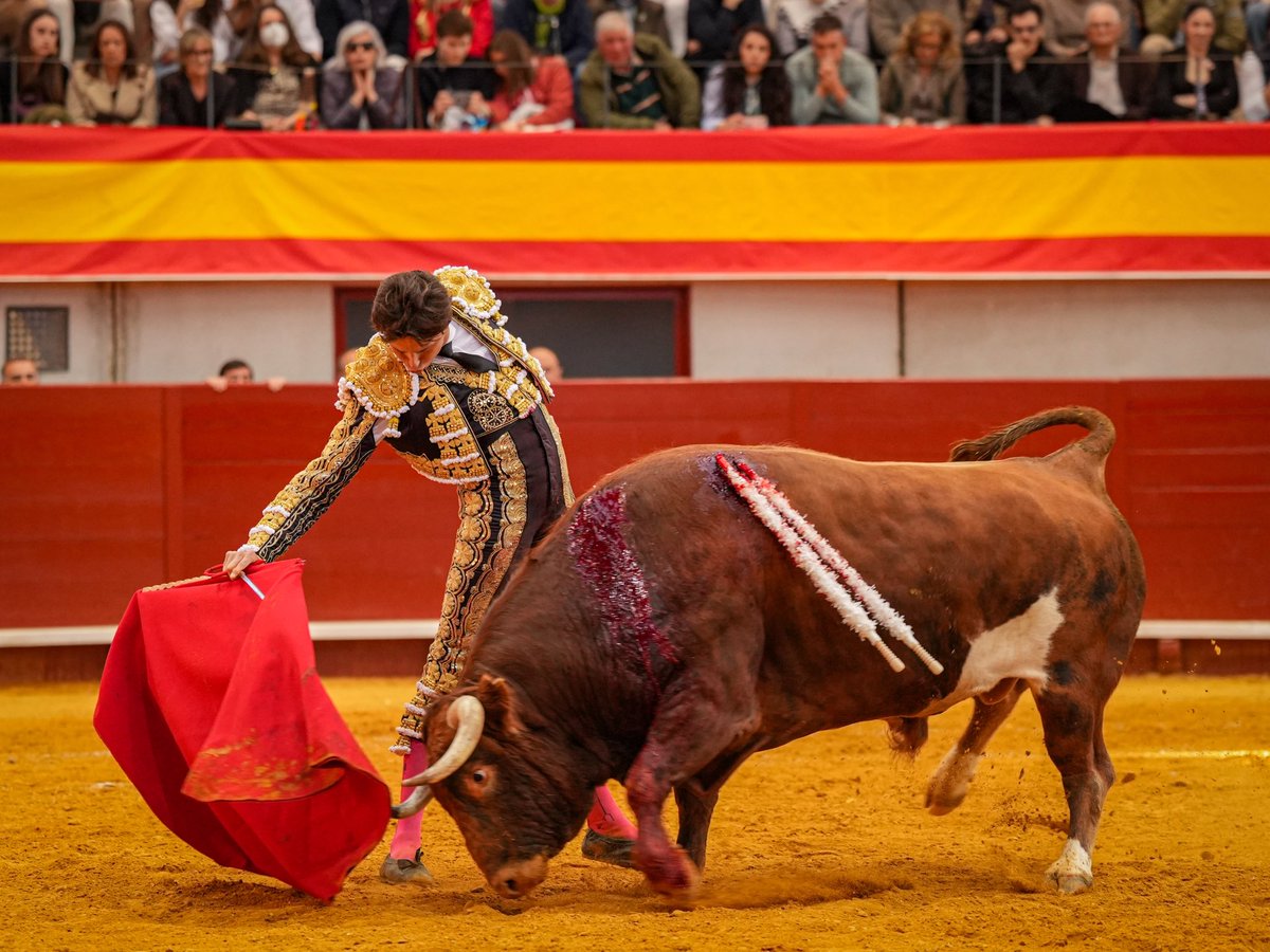 Andrés Roca Rey tweet media