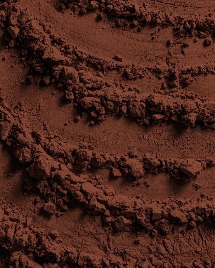 𝓈𝓉𝒶𝓇𝓋𝒾𝓃𝑔𝓈𝓃𝒶𝒾𝓁𝓈 𓆑 tweet media