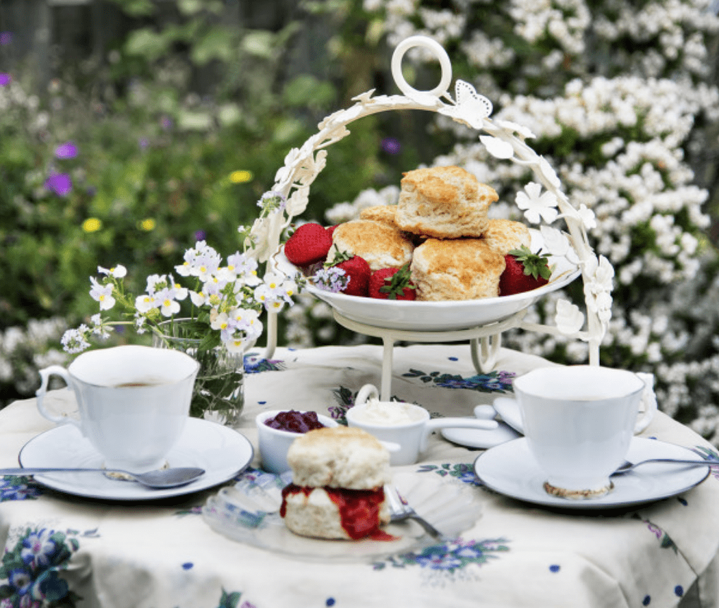 Maxime Gourhant tweet media