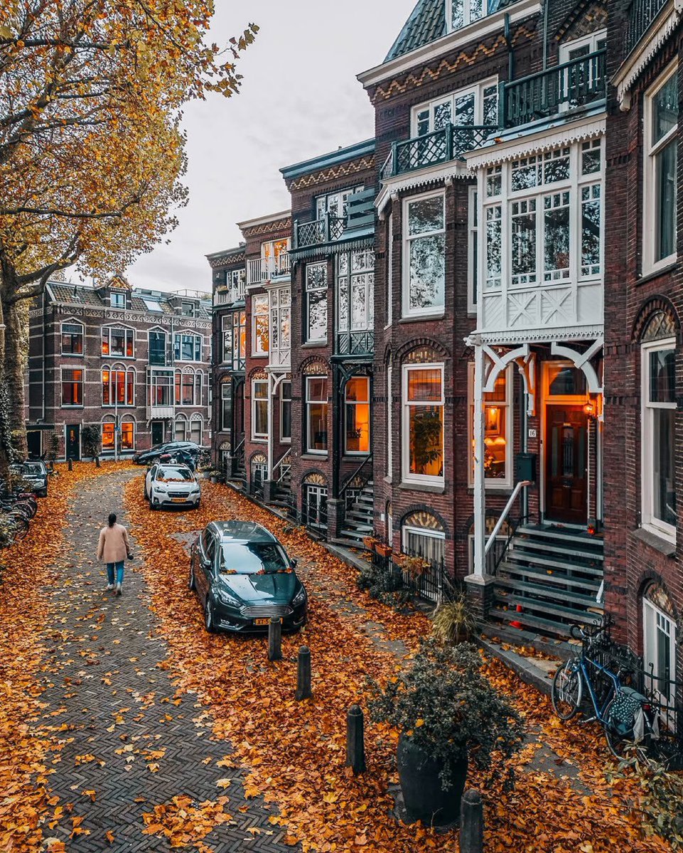 OThingstodo tweet media