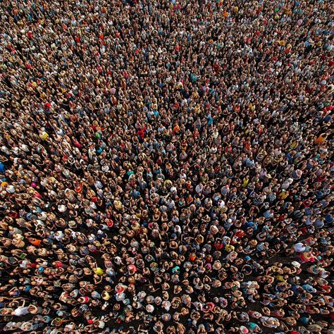 Curiosity tweet media