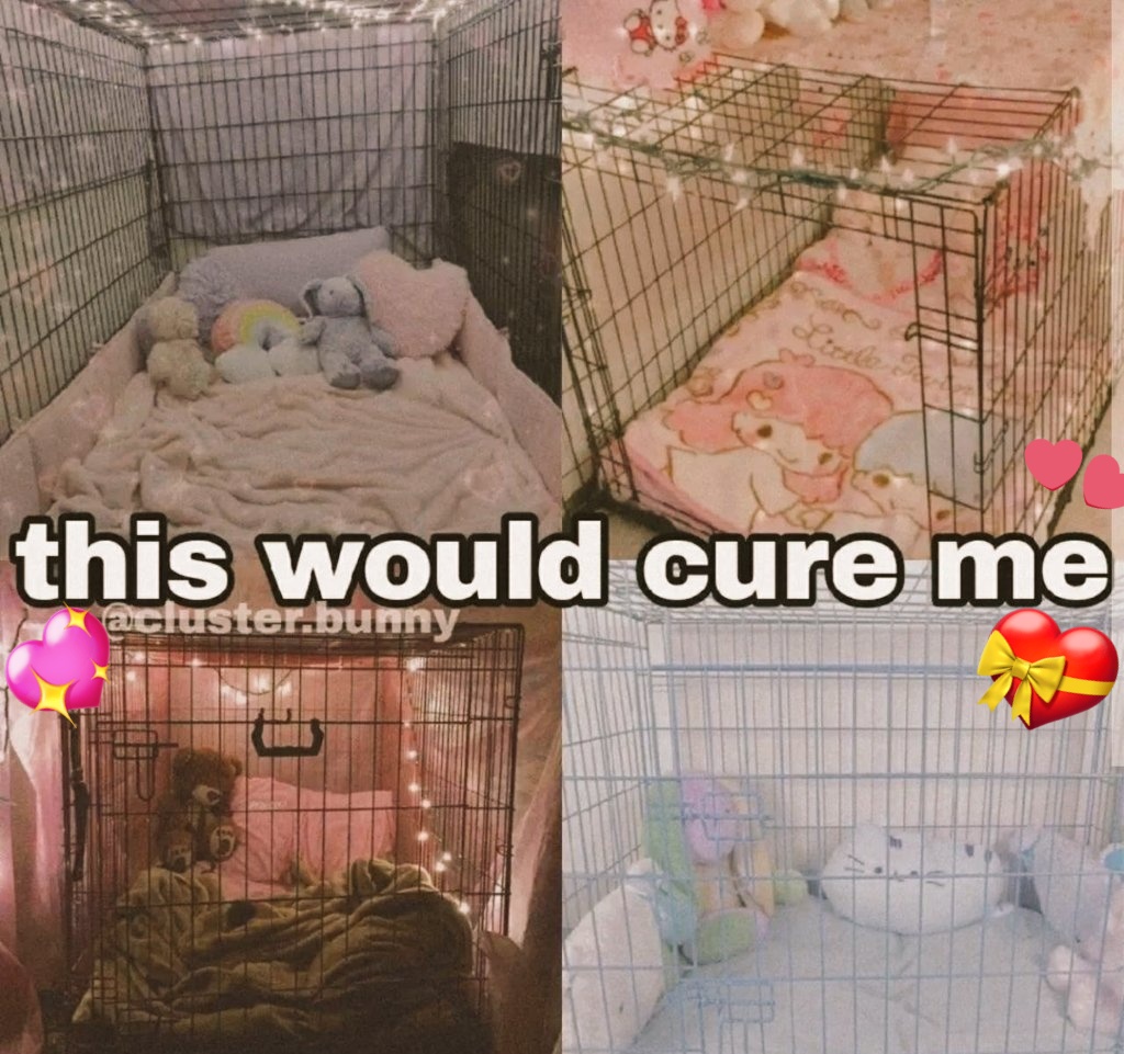 RedyFox (@redyfox1) on Twitter photo 