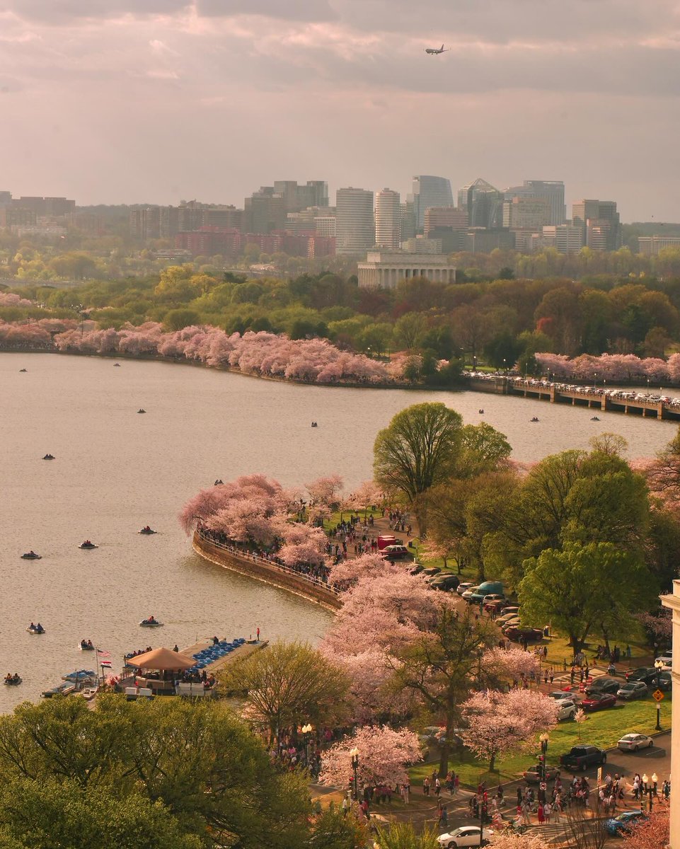 Visit Washington, DC tweet media