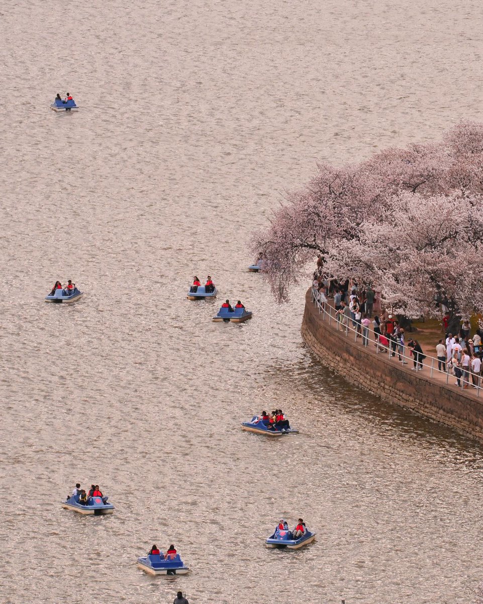 Visit Washington, DC tweet media