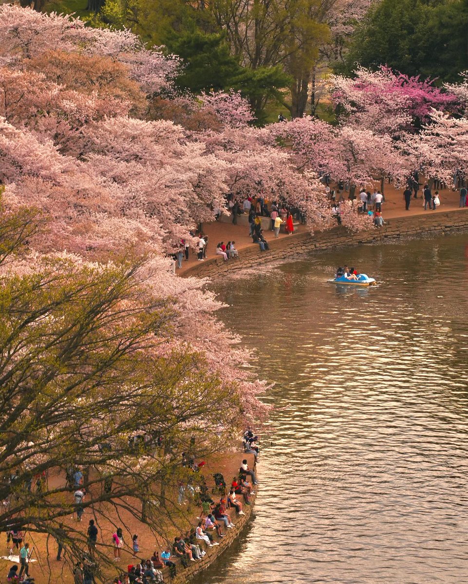 Visit Washington, DC tweet media