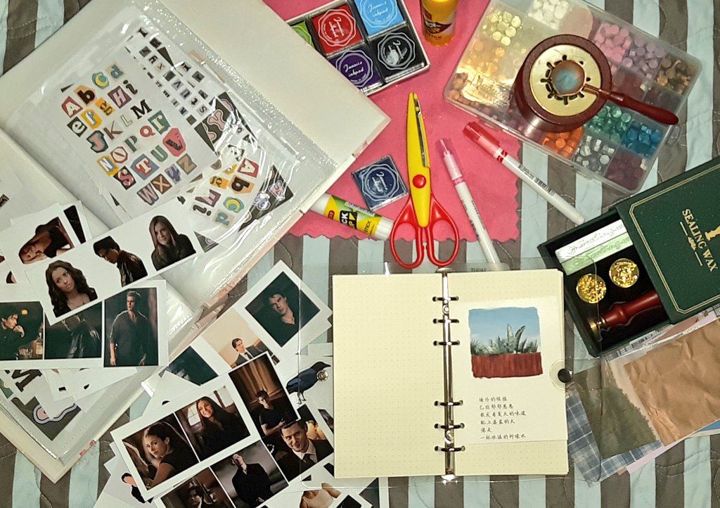 ސﺍމ 🇮🇶 tweet media