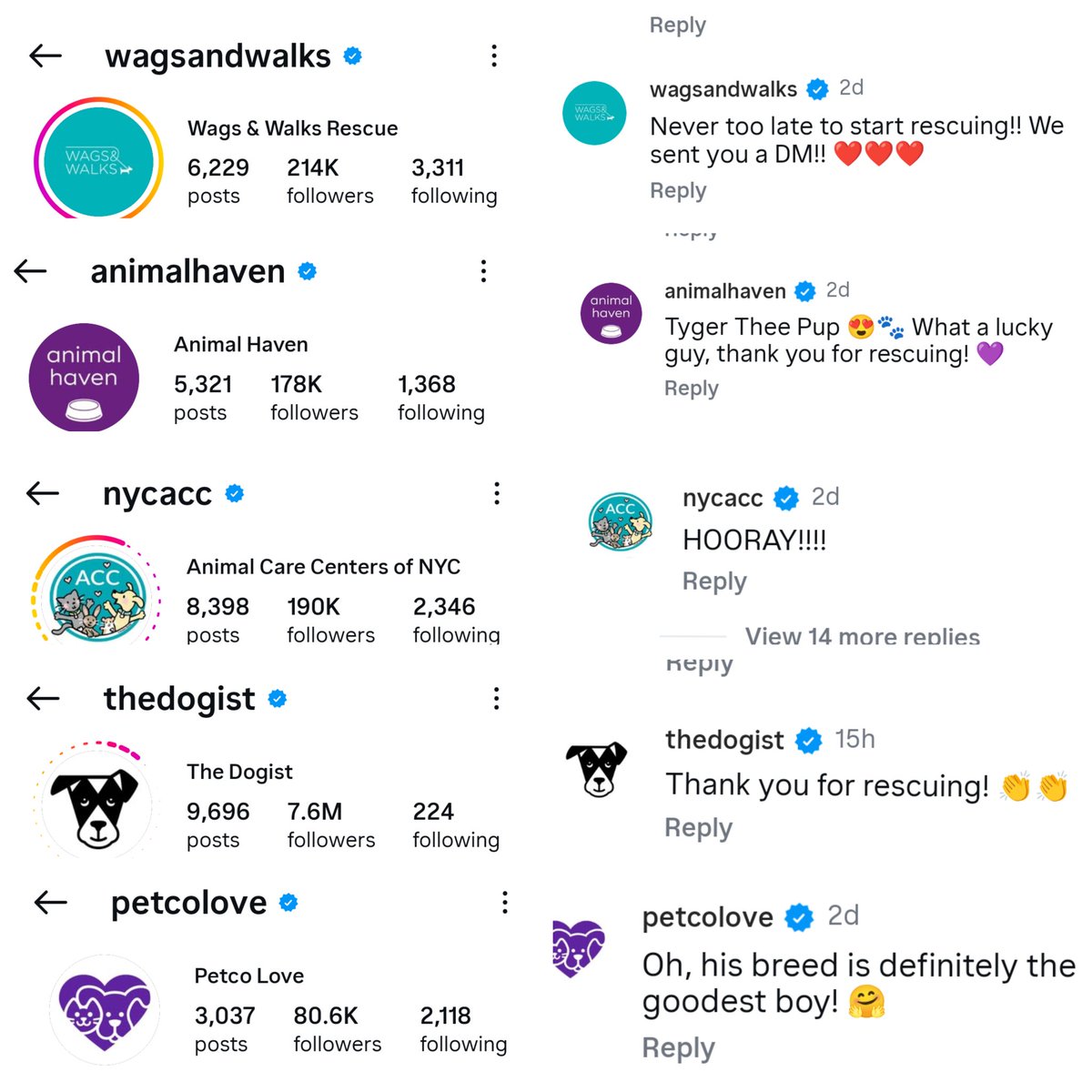 JusticeForMegan tweet media