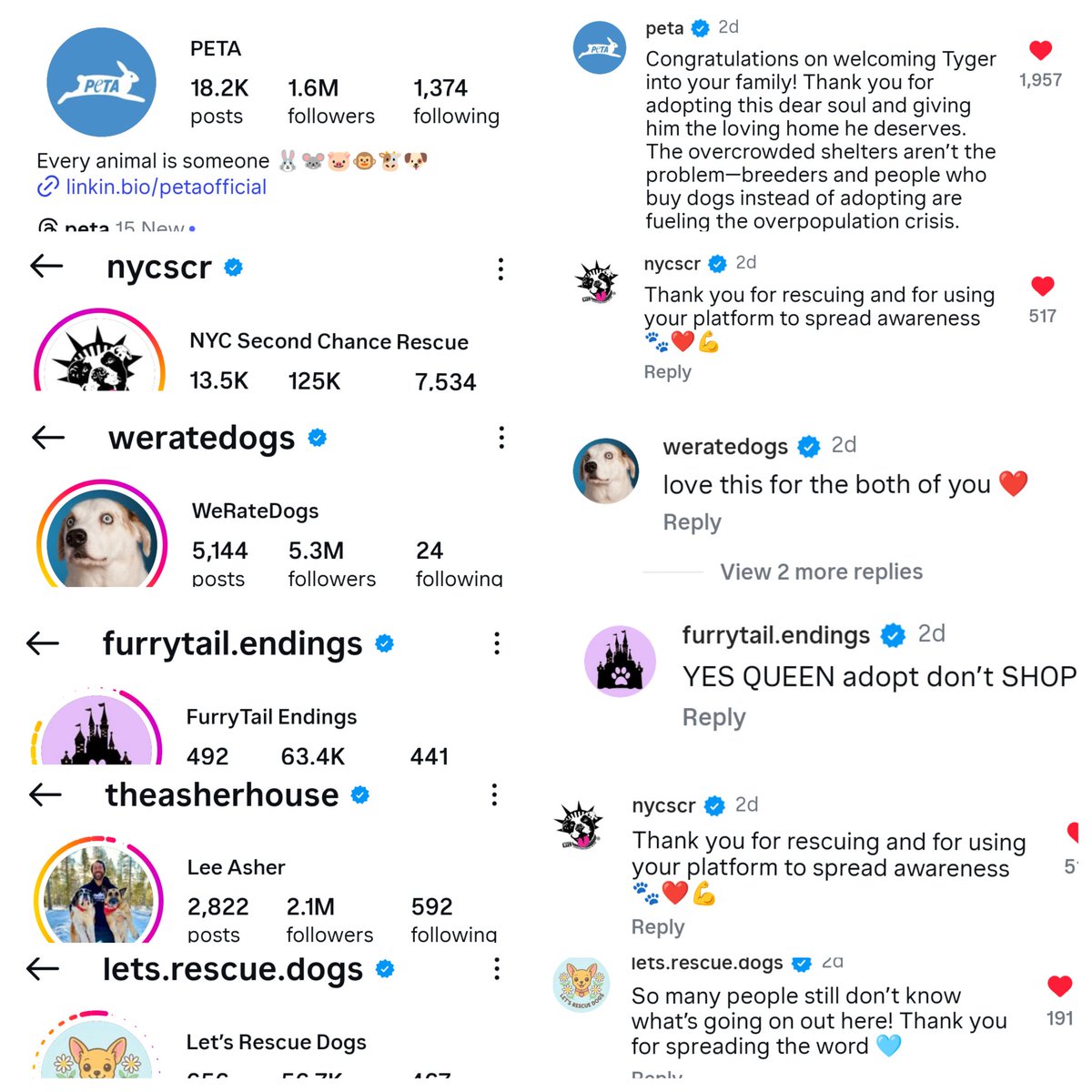 JusticeForMegan tweet media