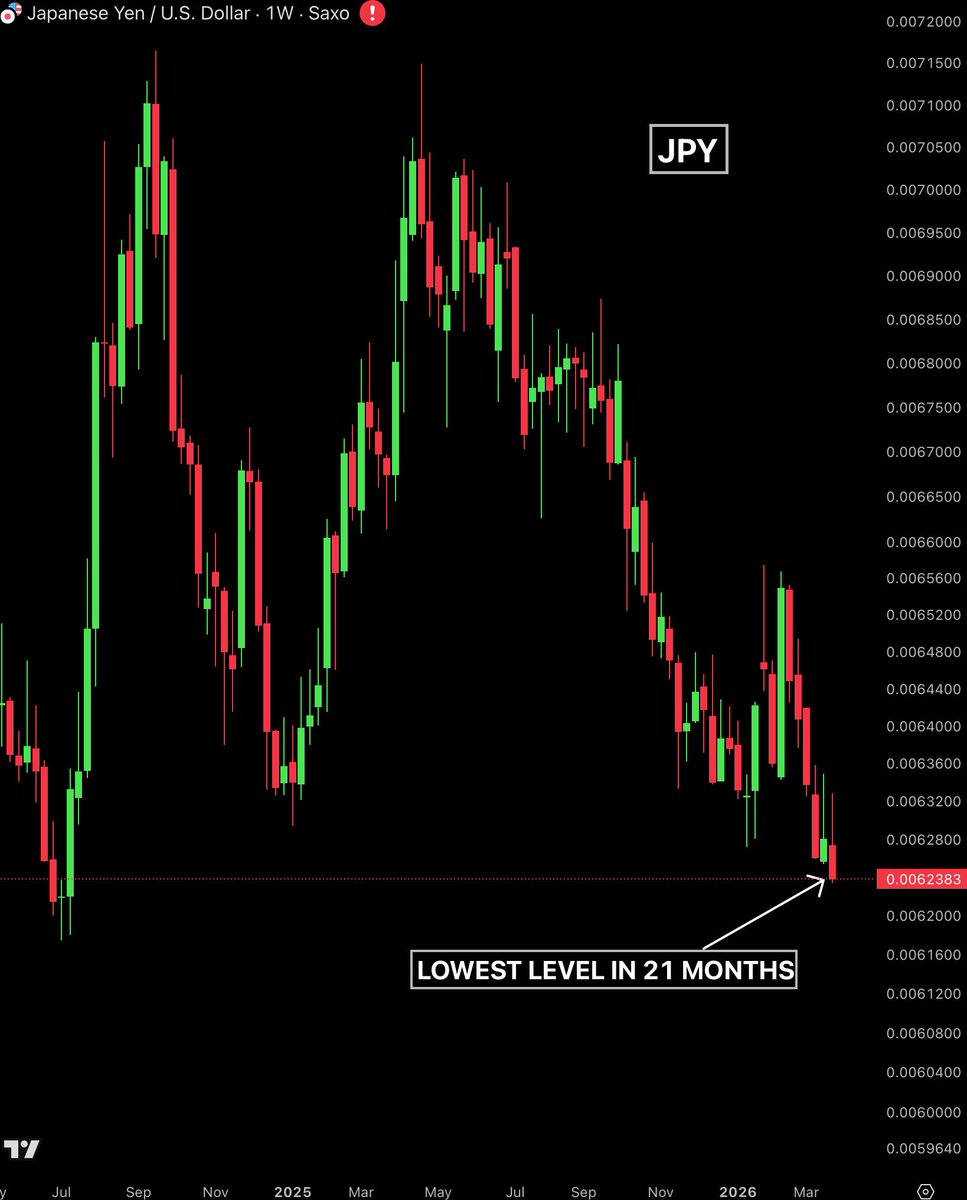 Bull Theory tweet media