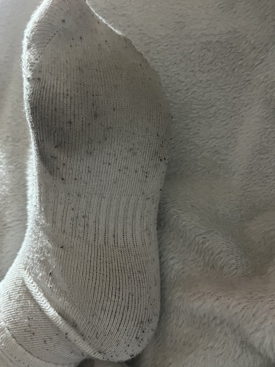 ✨BOGINI_JUL✨ tweet media