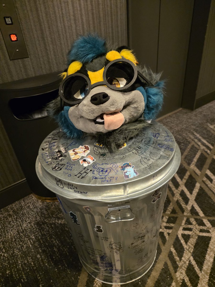 RacksTheRaccoon🔜TFF tweet media