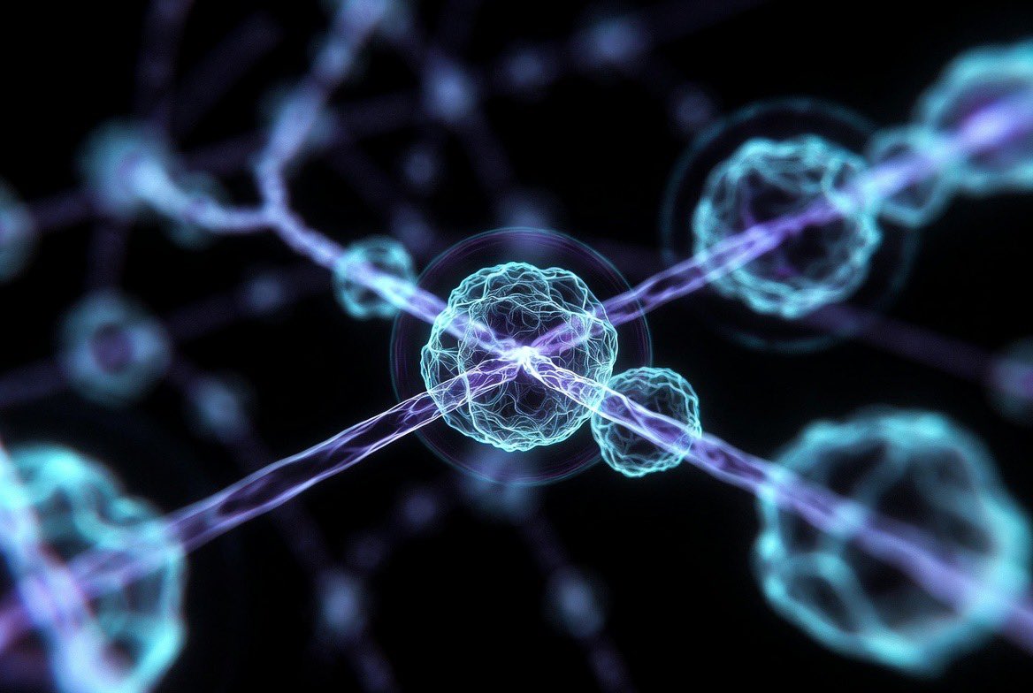 Night Sky Today tweet media