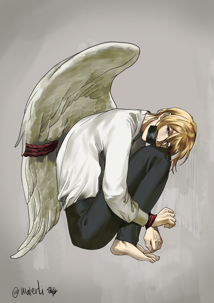 WaterLily tweet media