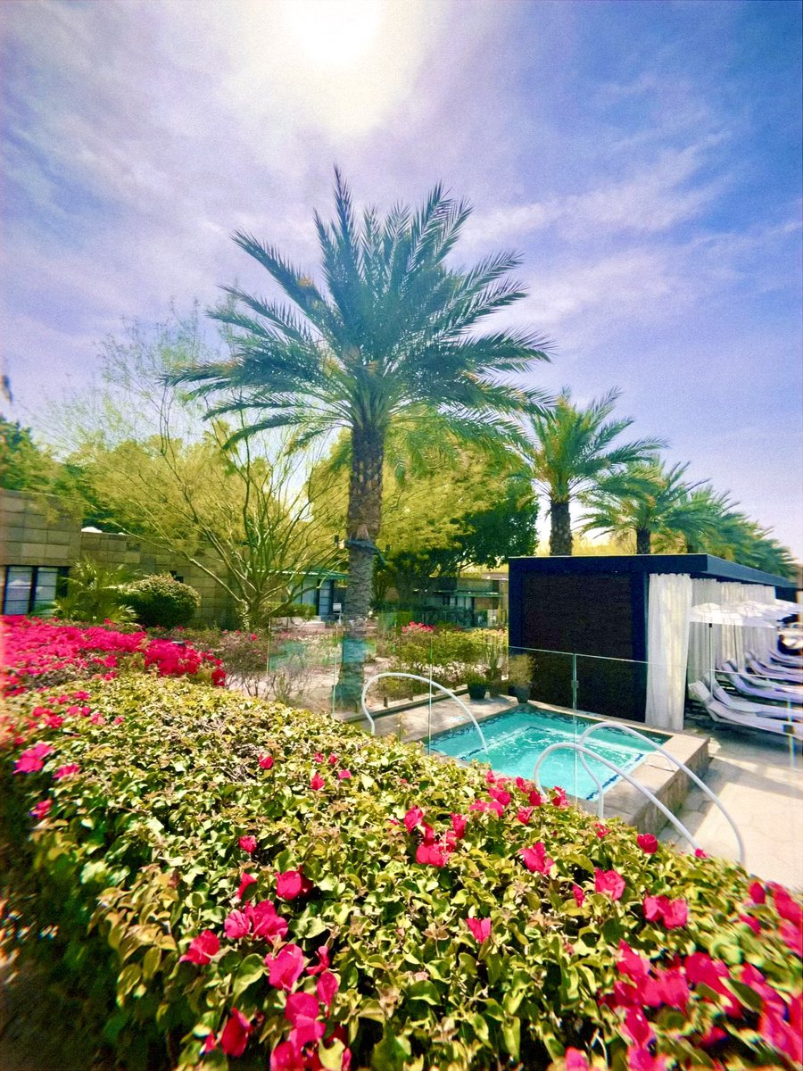 James Boyd tweet media