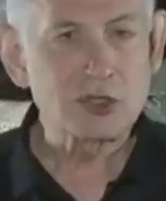 NJ Conservative tweet media