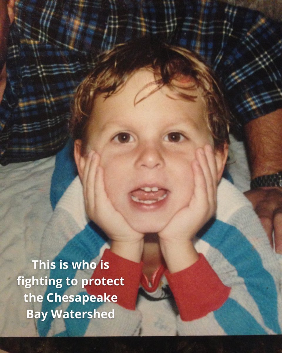 Congresswoman Sarah Elfreth tweet media