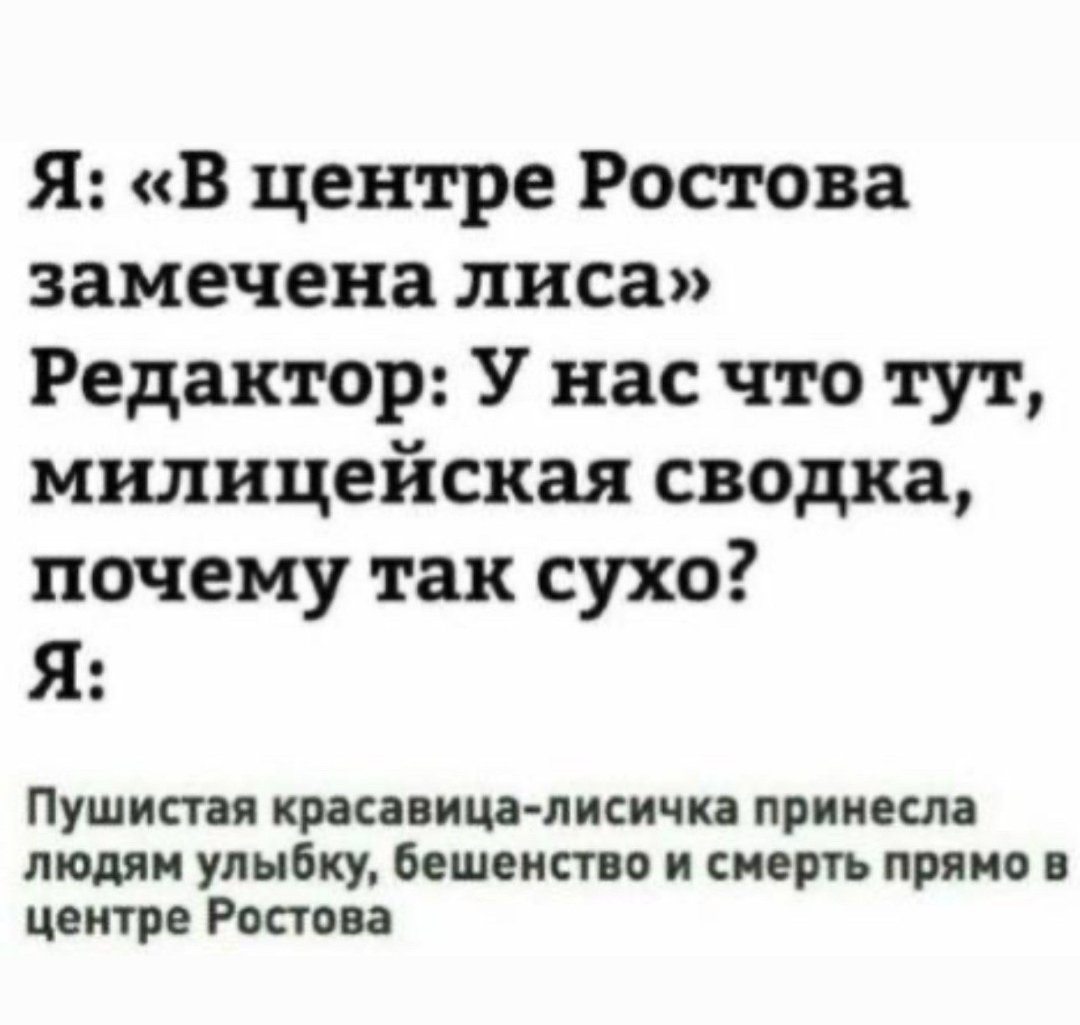 Лиса #ПротивВойны tweet media