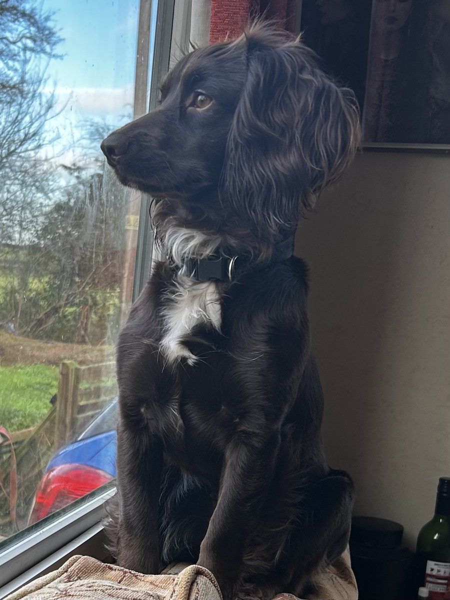 chris towers tweet media