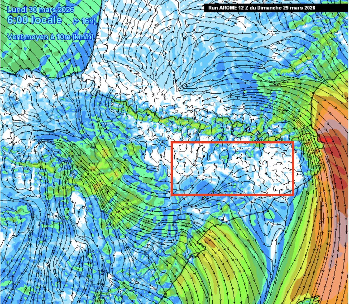 Àlex Van der Laan tweet media