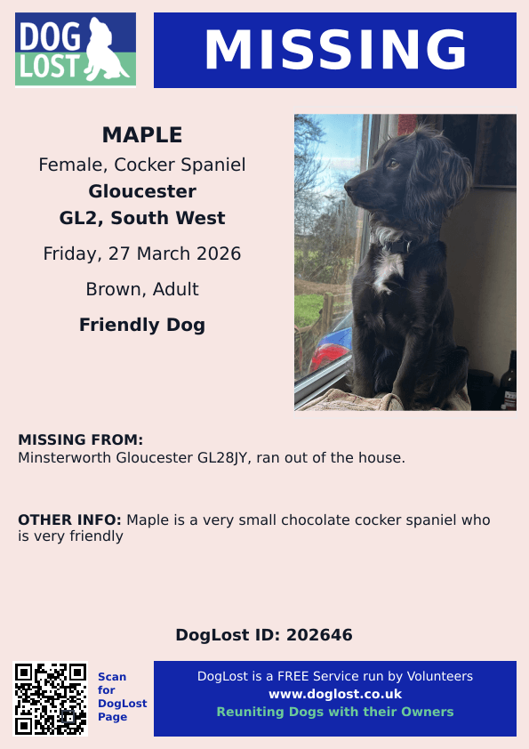 chris towers tweet media