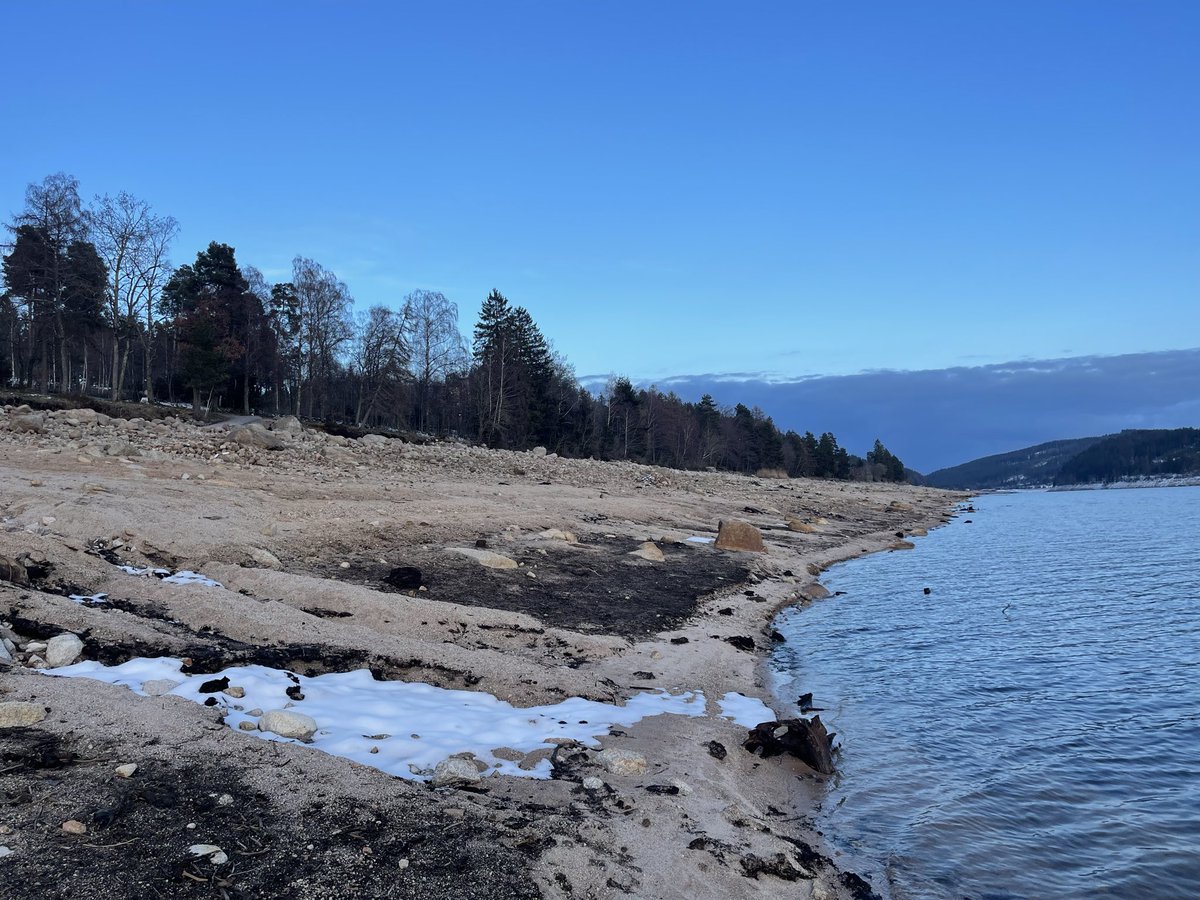 Brummi 🚛 貨車司機 tweet media