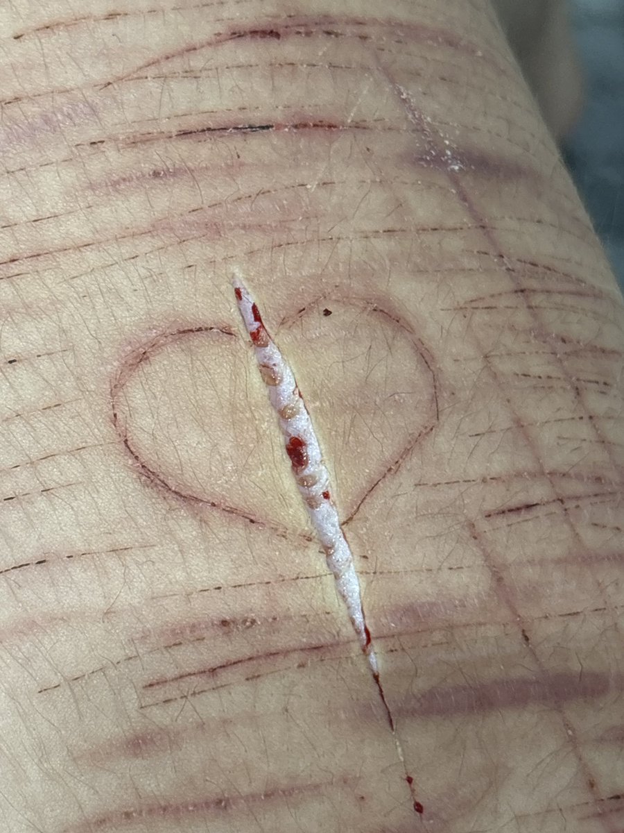 Lycanroc Of Shtwt tweet media