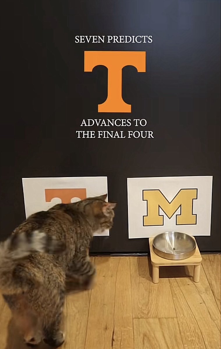DavidWKanas's tweet photo. Guys it’s chill, Tennessee is gonna win. I saw a cat on TikTok eat 2 kibble from our bowl and none from Michigan’s. #GoVols #Elite8 https://t.co/DpEOpSXJYc