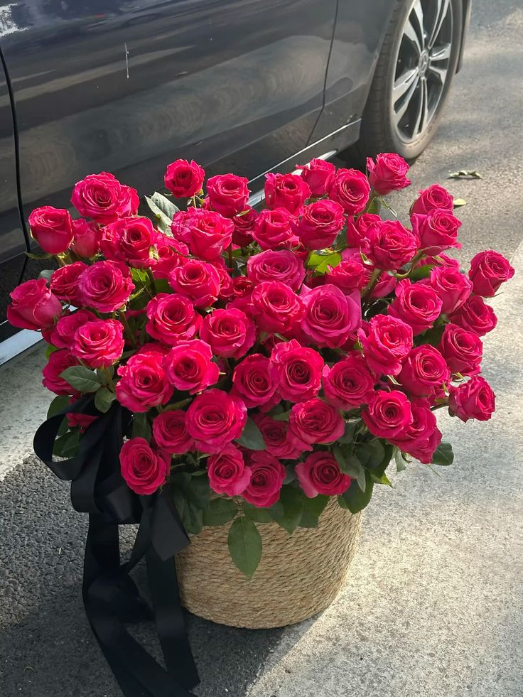 Flowers Life (@flowerslife54) on Twitter photo 