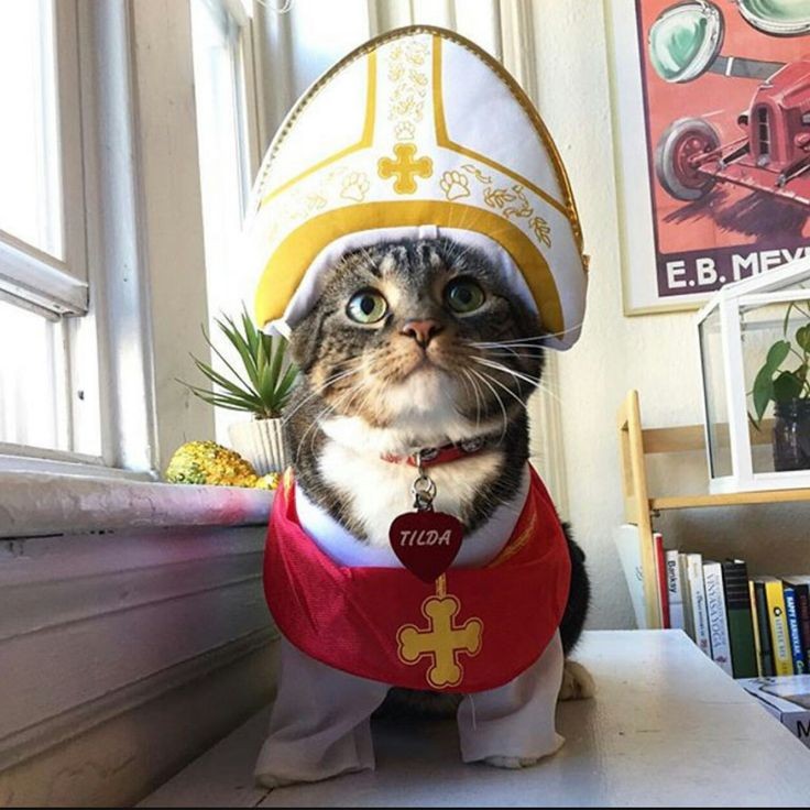 Rod M ✞ ⚣ 🇦🇷🇻🇦 tweet media