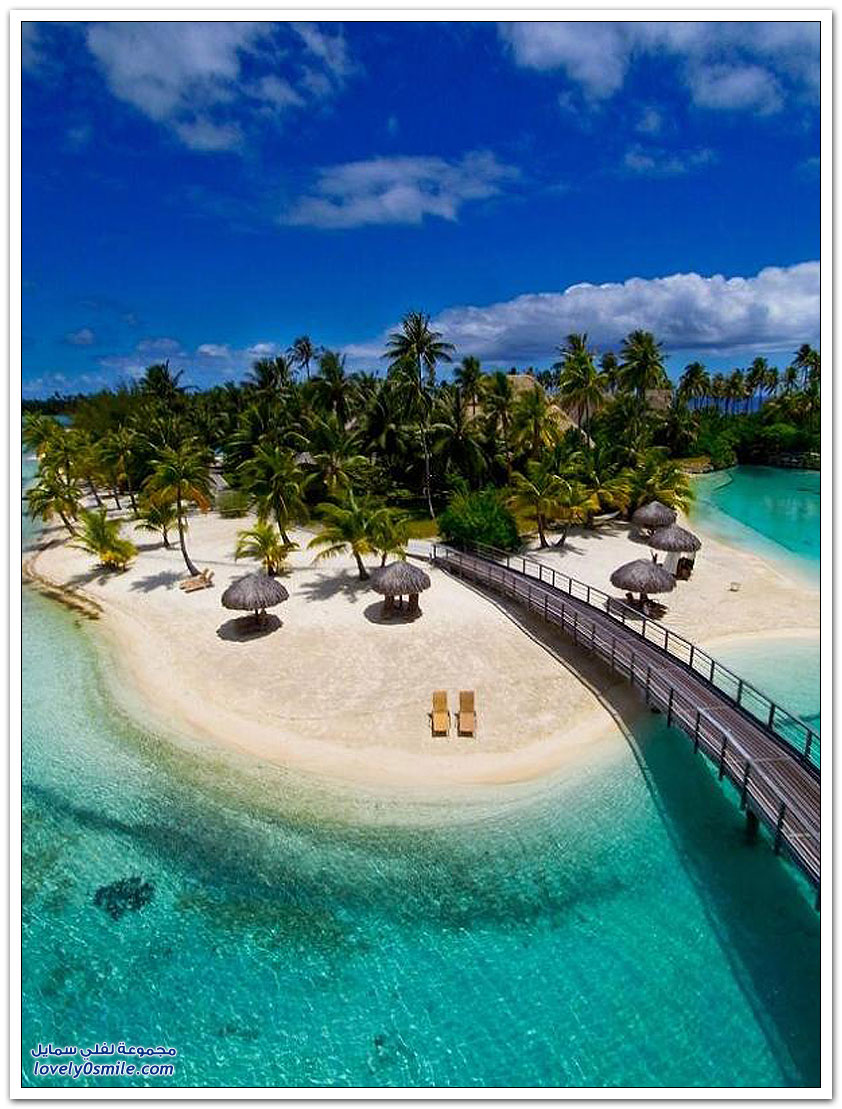 Abo Khalid🇸🇦 tweet media