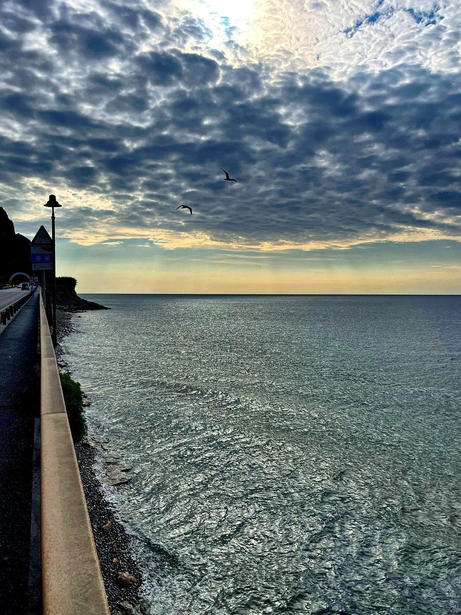 Patrizia M.B. tweet media