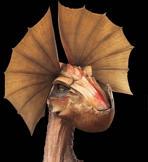 TweetingGaruga tweet media