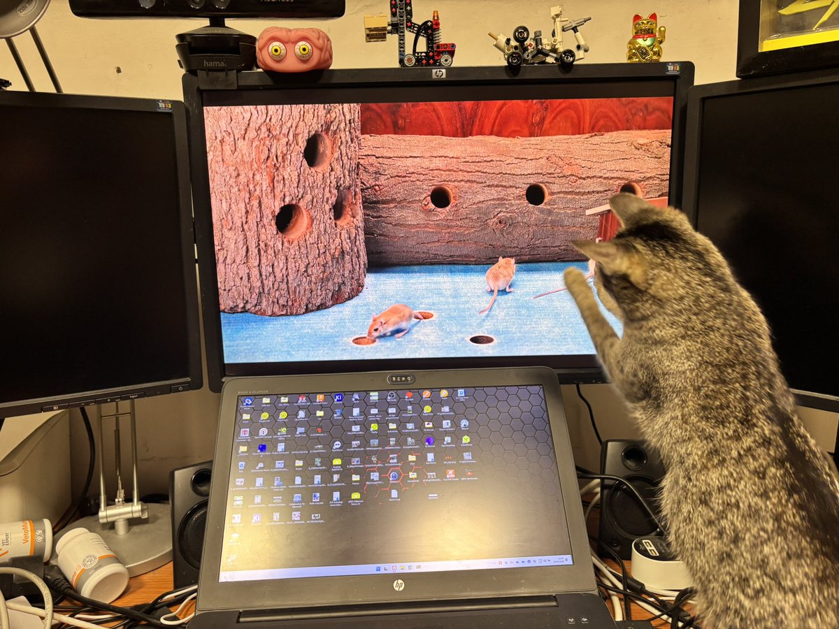 𝕏_ᵈᵉᶠᵃᵘˡᵗ_ᵘˢᵉʳ¹³ Ⓛ tweet media