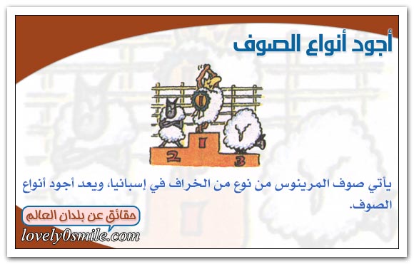 Abo Khalid🇸🇦 tweet media