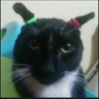 empanadita suprema tweet media