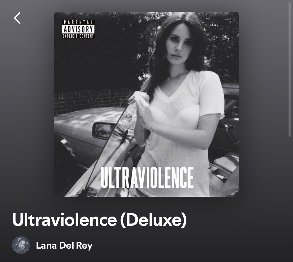 betty ᪥ tweet media