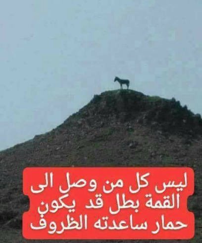 حنين. tweet media