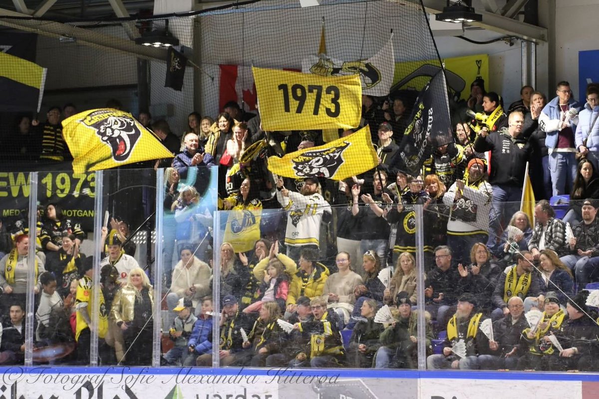 HockeyNorge tweet media