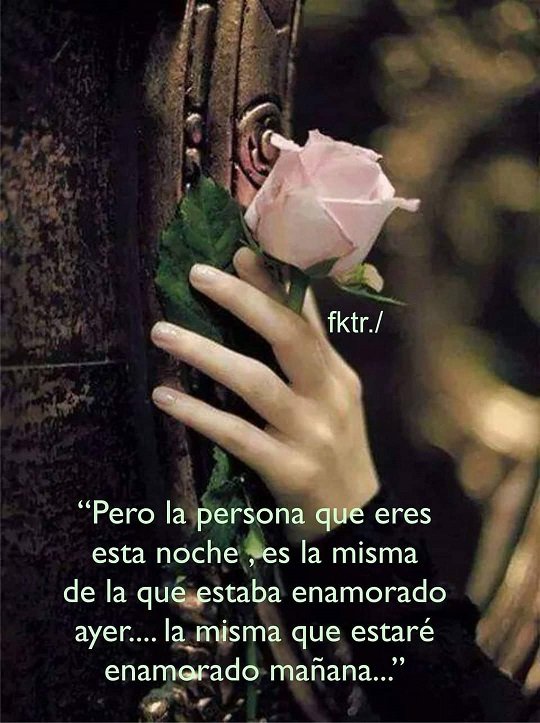 Julian Catter 🇵🇪 tweet media